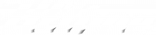 logo-220-51